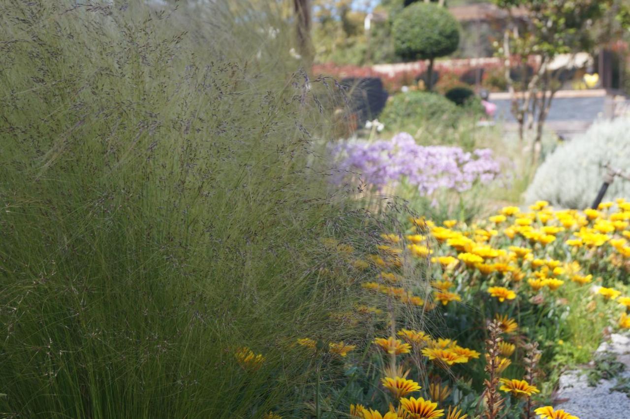 Les Jardins De Santa Giulia - Charmante Chambre D'Hote Porto-Vecchio  Exteriör bild